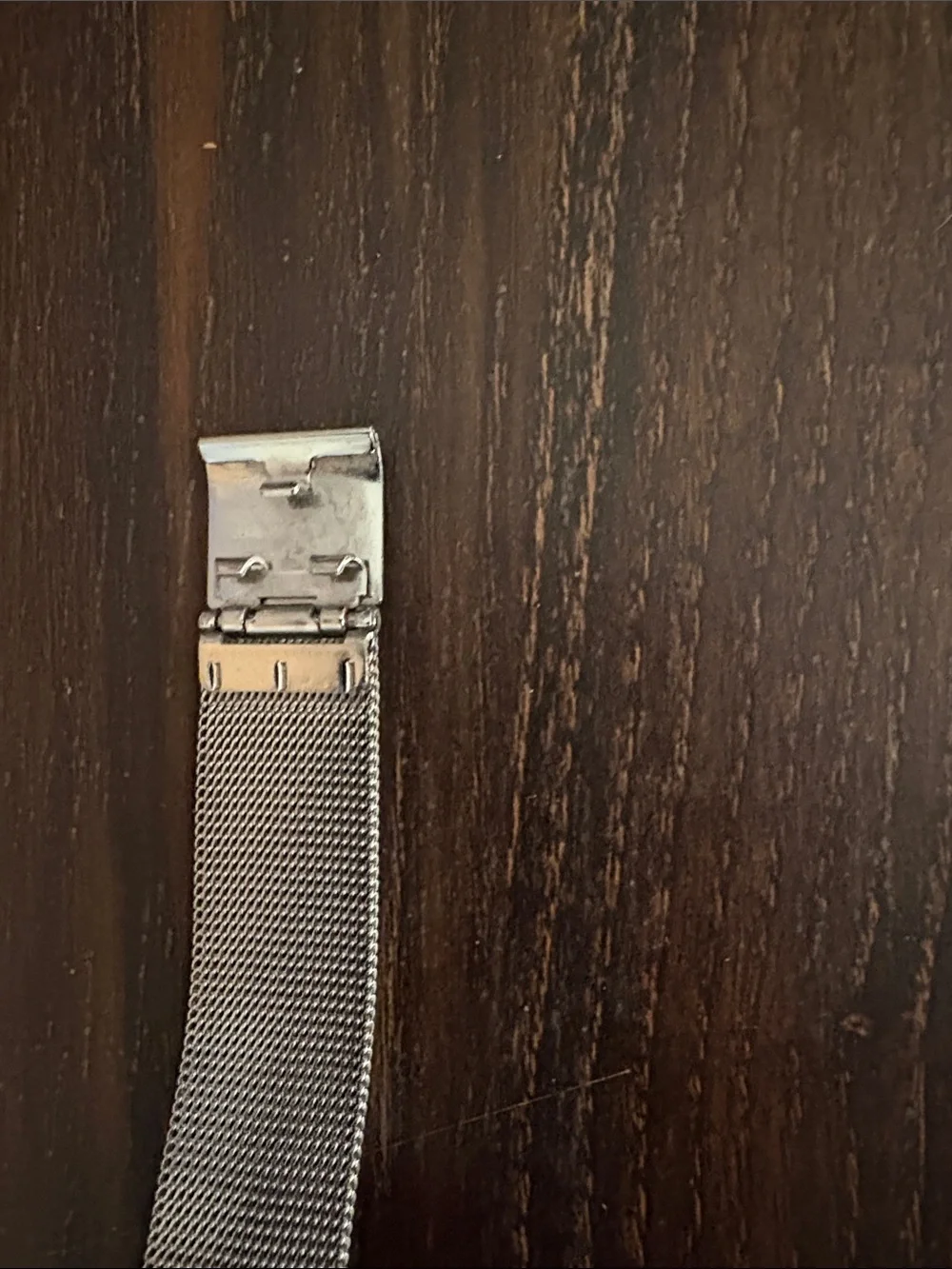 Skagen Stainless Steel Mesh Bracelet Watch